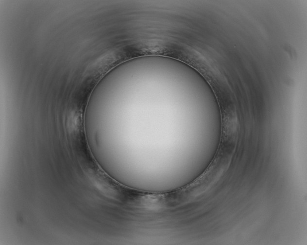 X0000113940126200909251248