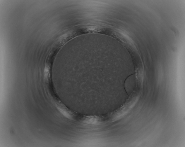 X0000113940127200909251248