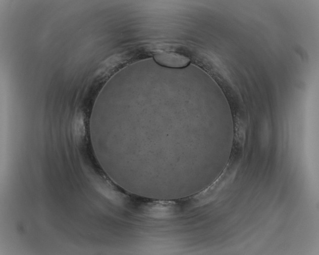 X0000113940128200909251248