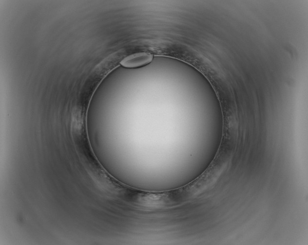 X0000113940129200909251248