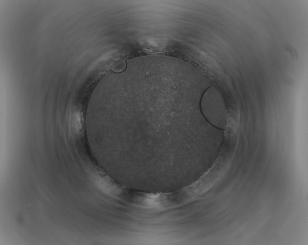 X0000113940130200909251248