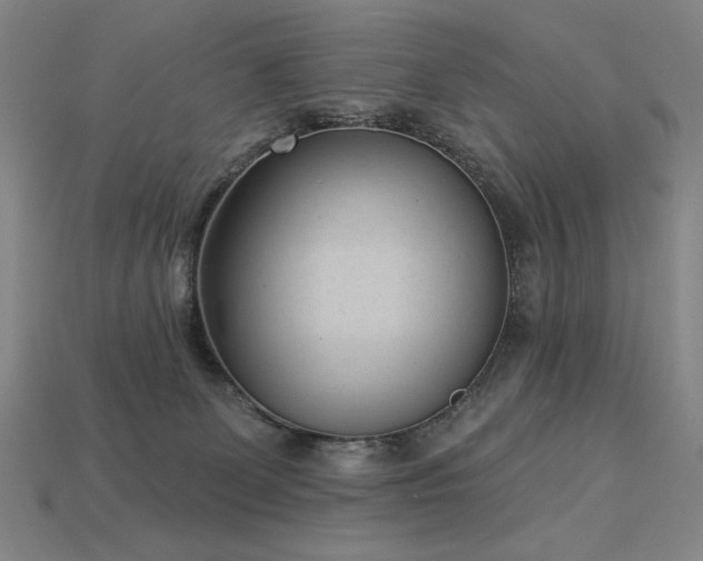 X0000113940131200909251248