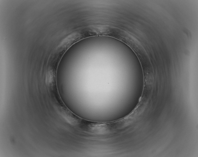 X0000113940132200909251248