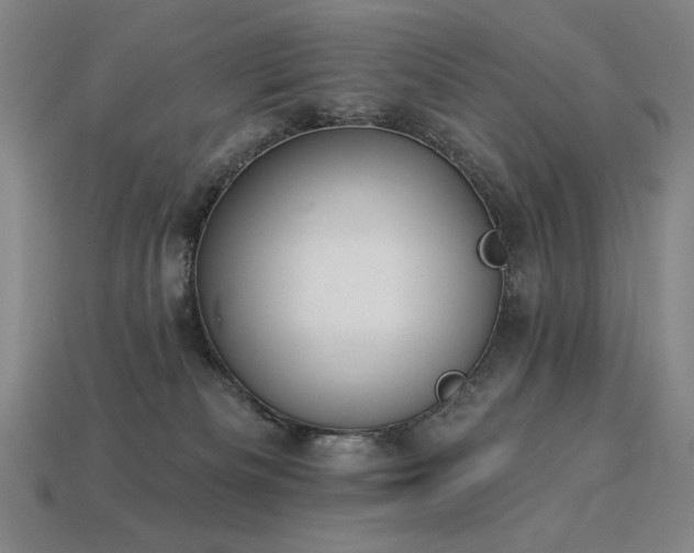 X0000113940133200909251248