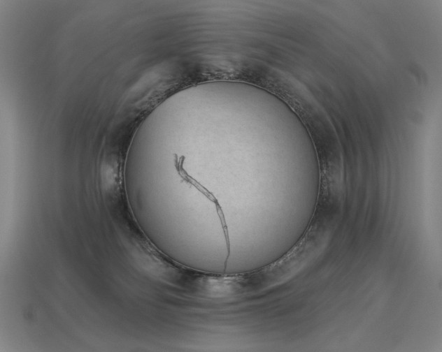 X0000113940134200909251248