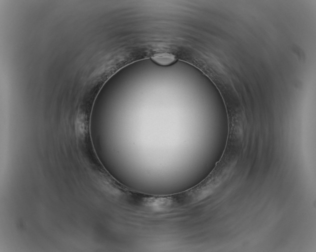 X0000113940135200909251248