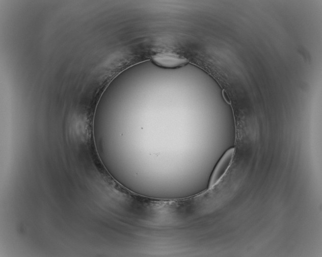 X0000113940136200909251248