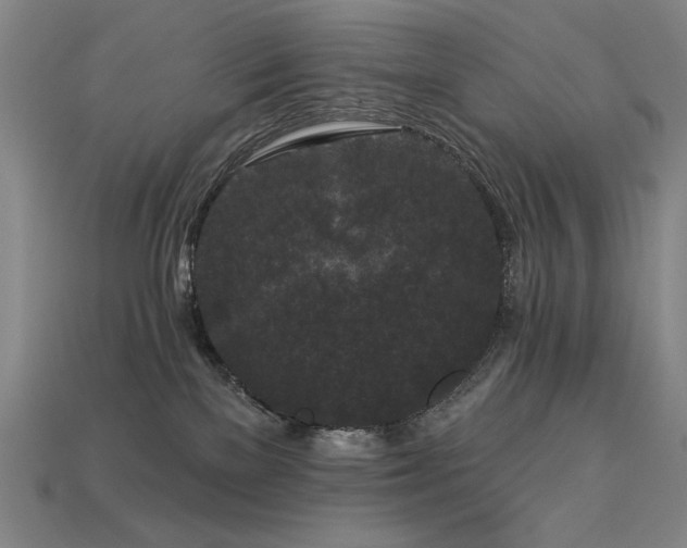 X0000113940137200909251248