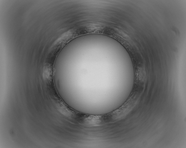 X0000113940138200909251248