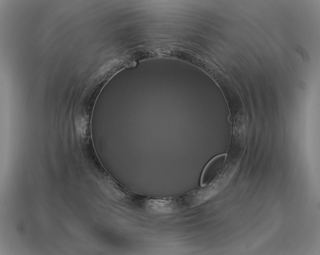 X0000113940139200909251248