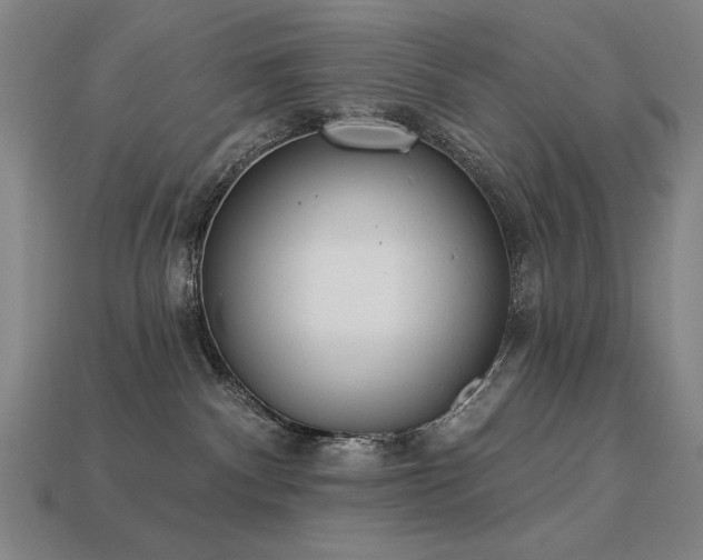 X0000113940140200909251248