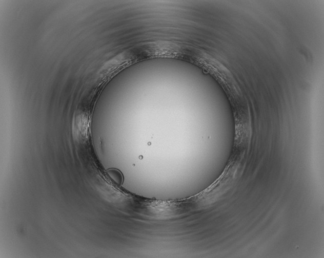 X0000113940142200909251248