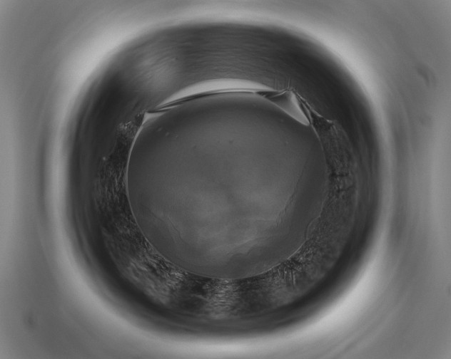 X0000113940143200909251248