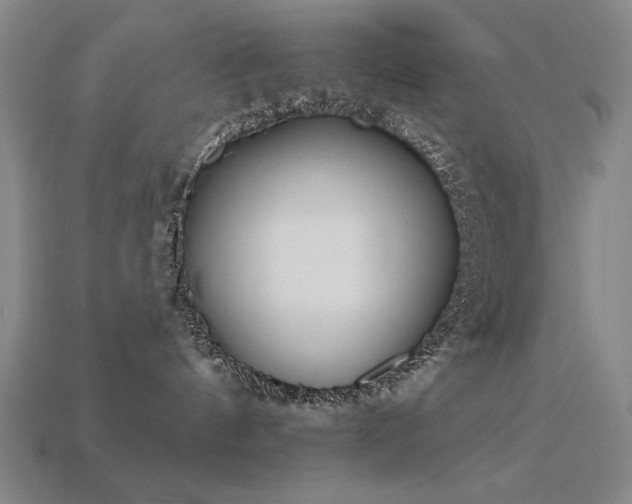 X0000113940144200909251248