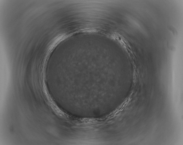 X0000113940145200909251247