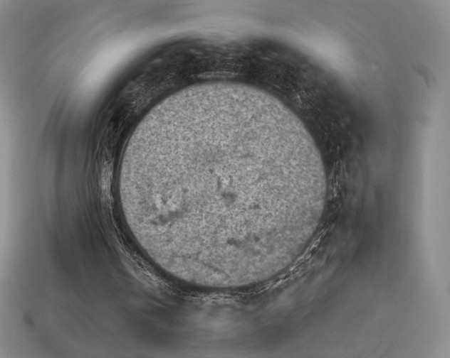 X0000113940146200909251247