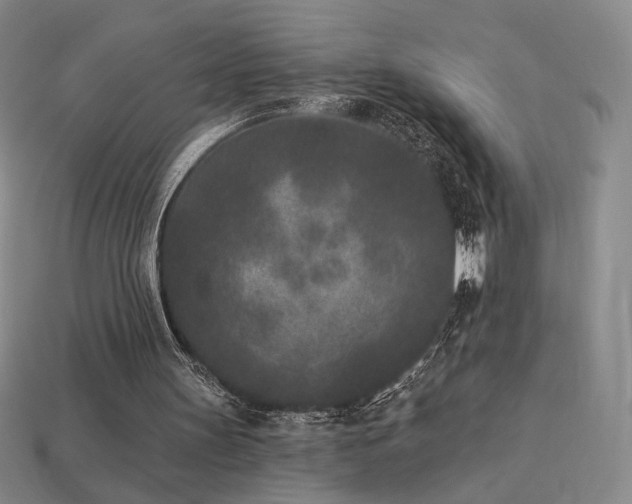 X0000113940147200909251247