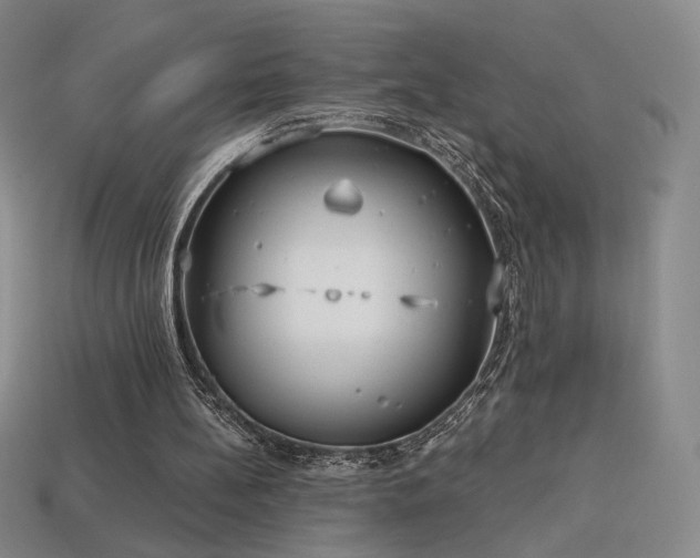 X0000113940148200909251247