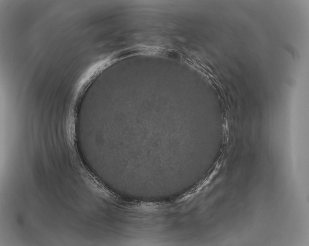 X0000113940149200909251247