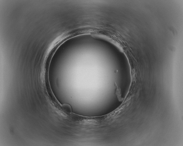 X0000113940150200909251247