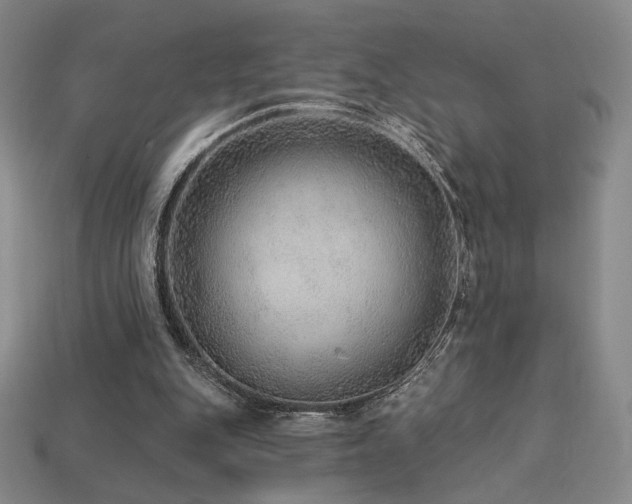 X0000113940151200909251247