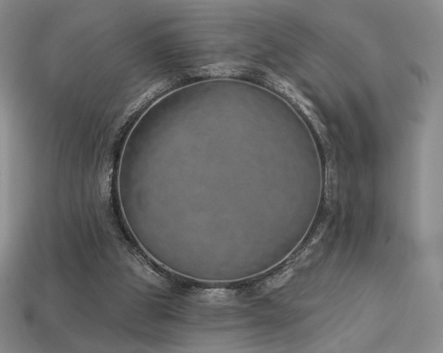 X0000113940153200909251248