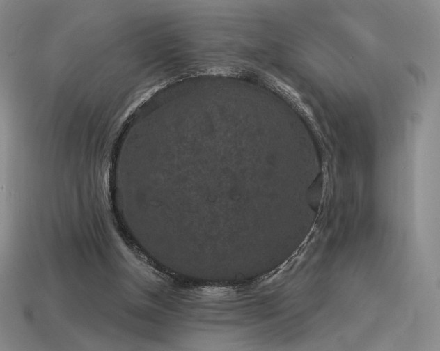 X0000113940154200909251248