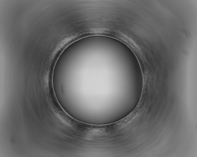 X0000113940155200909251248