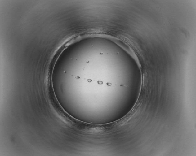 X0000113940156200909251248