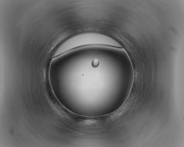 X0000113940158200909251248