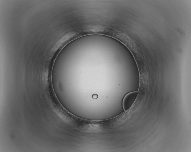 X0000113940159200909251248