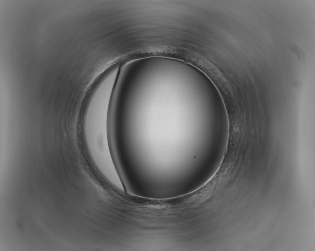 X0000113940160200909251248