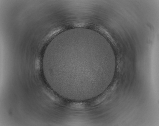 X0000113940161200909251248