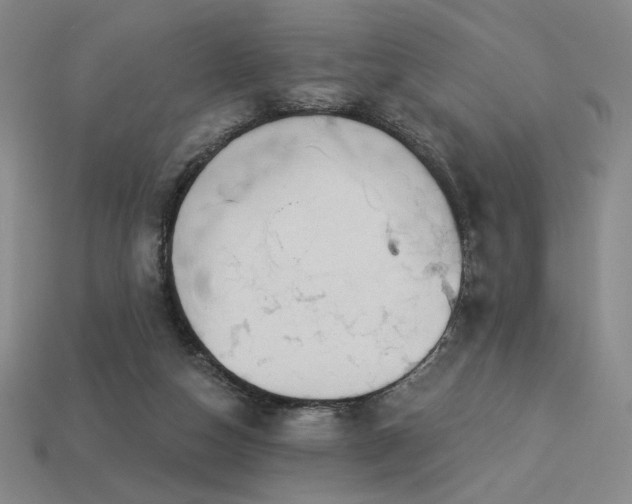 X0000113940162200909251248