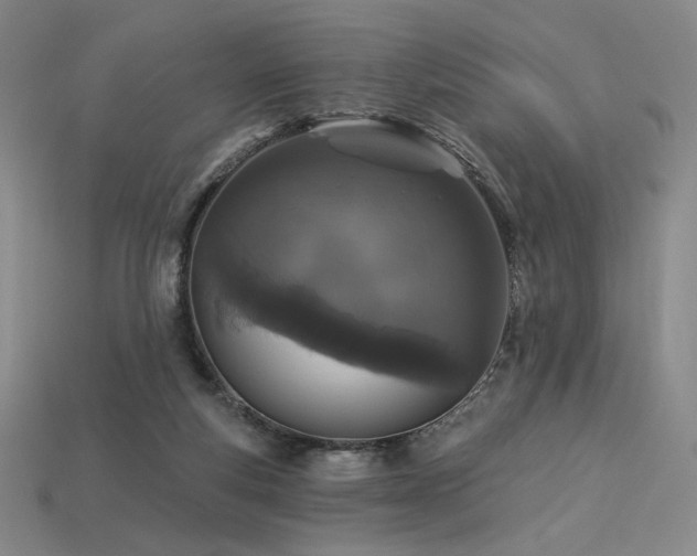 X0000113940163200909251248