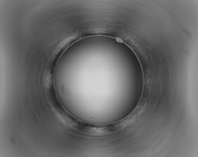 X0000113940164200909251248