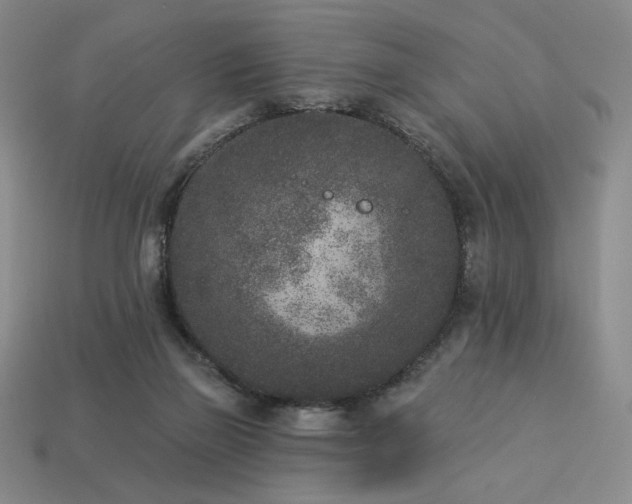 X0000113940165200909251248