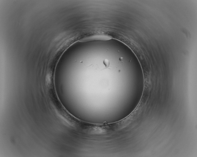 X0000113940166200909251248