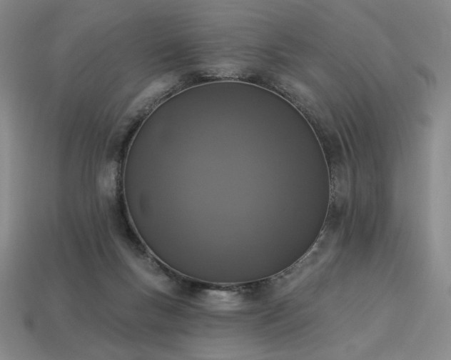 X0000113940167200909251248