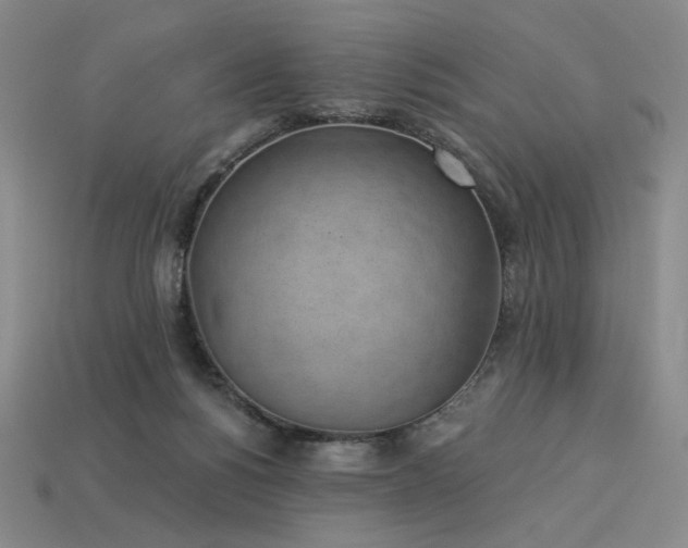 X0000113940168200909251248