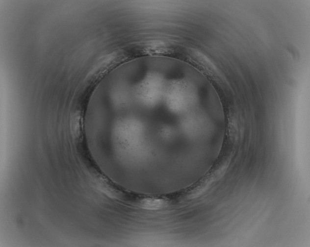 X0000113940169200909251248