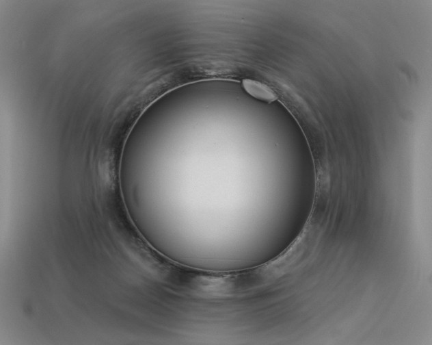 X0000113940170200909251248