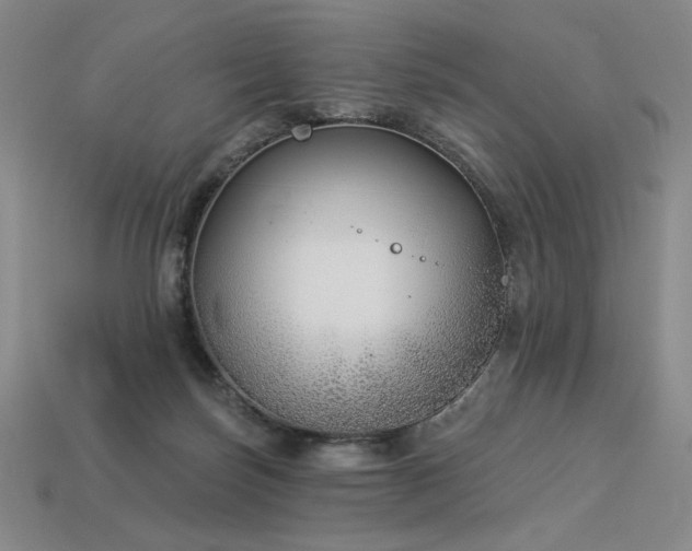 X0000113940171200909251248