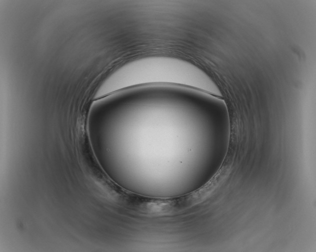 X0000113940172200909251248