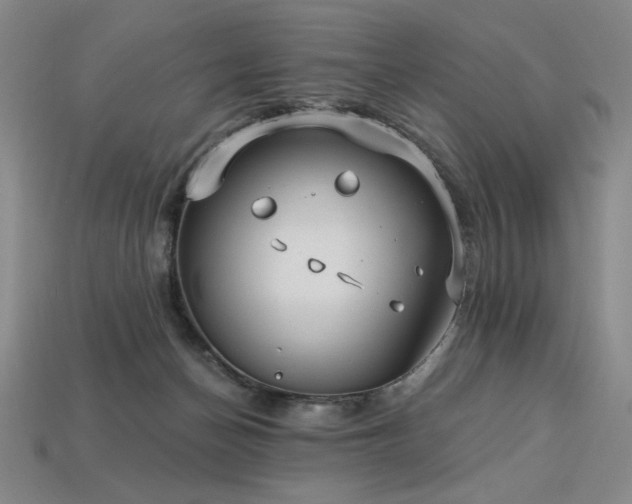 X0000113940174200909251248