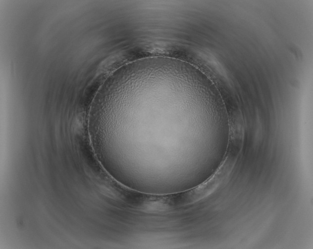 X0000113940175200909251248