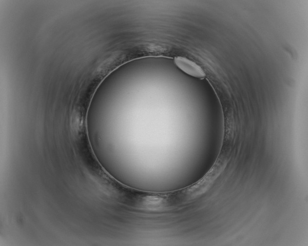 X0000113940176200909251248