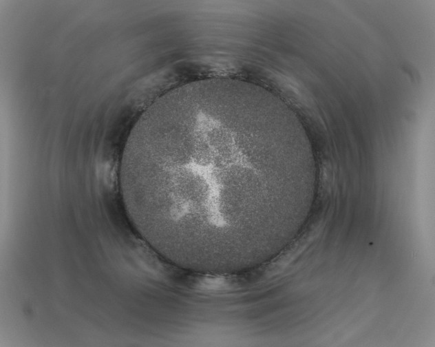 X0000113940177200909251248