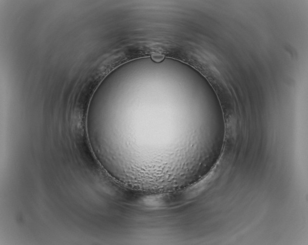 X0000113940178200909251248