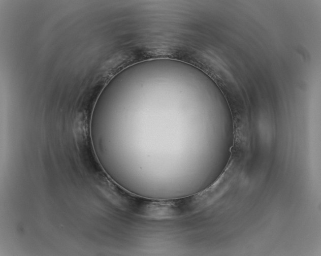 X0000113940179200909251248